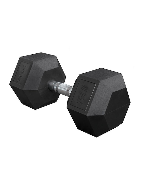 Mancuerna de peso fijo 30.6 kg Mancuerna de peso fijo 30.6 kg