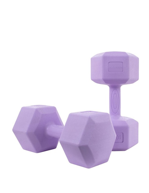 ALTERA Set mancuernas de peso fijo Altera 20 kg 2 piezas