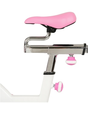 Bicicleta de spinning Sunny Health & Fitness