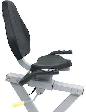 Bicicleta recumbente Sunny Health & Fitness