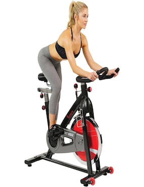 Bicicleta fija Sunny Health & Fitness