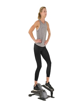 Elíptica Sunny Health & Fitness SF-E3908