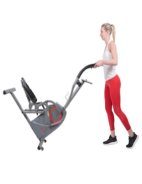 Elíptica Sunny Health & Fitness SF-E3911