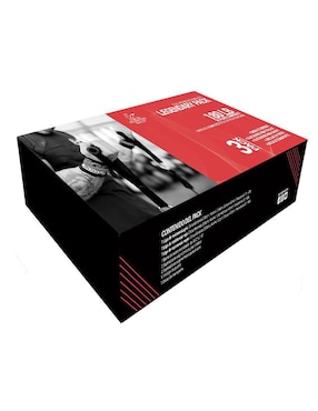 Set de Bandas de Resistencia Bold Tribe