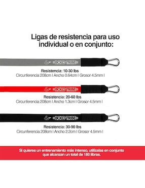 Set de Bandas de Resistencia Bold Tribe