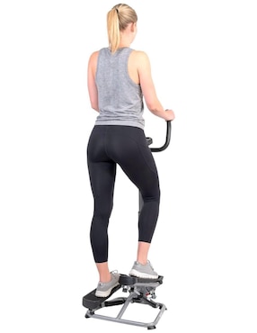 Elíptica Sunny Health & Fitness SF-S020027
