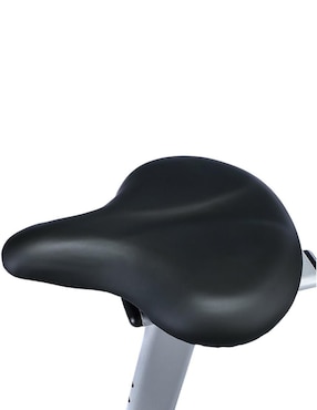 Bicicleta fija Sunny Health & Fitness acero