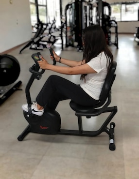 Bicicleta recumbente Sunny Health & Fitness acero y plástico