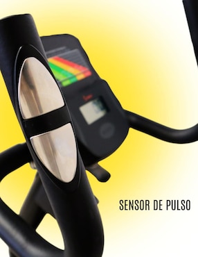 Bicicleta recumbente Sunny Health & Fitness acero y plástico