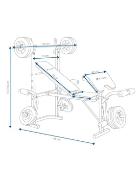 Banca para entrenamiento Altera Lionheart
