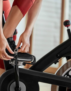 Bicicleta de spinning Schwinn