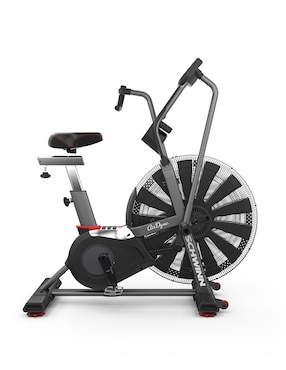 Bicicleta fija Schwinn acero