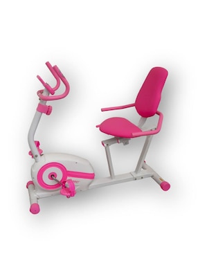 Bicicleta recumbente Sunny Health & Fitness acero estructural