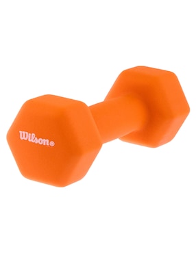 Mancuerna de peso fijo Wilson 2.7 kg