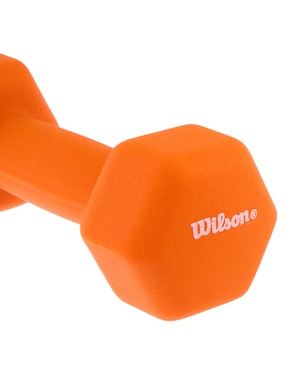 Mancuerna de peso fijo Wilson 2.7 kg