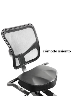Bicicleta recumbente Sunny Health & Fitness acero al carbono