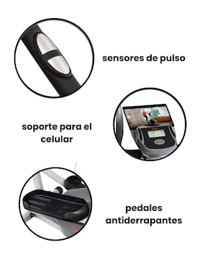 Elíptica Sunny Health & Fitness SF-E322902