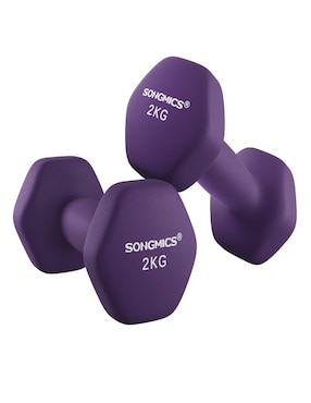 Mancuerna de peso fijo Songmics Home 4 kg 2 piezas