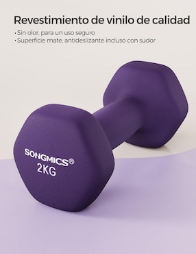 Mancuerna de peso fijo Songmics Home 4 kg 2 piezas