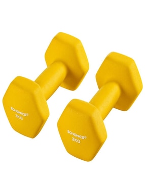 Set mancuernas de Peso Fijo Songmics Home 2 kg 2 piezas