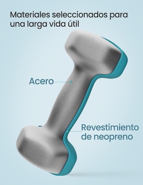 Set mancuernas de Peso Fijo Songmics Home 12.5 kg 6 piezas