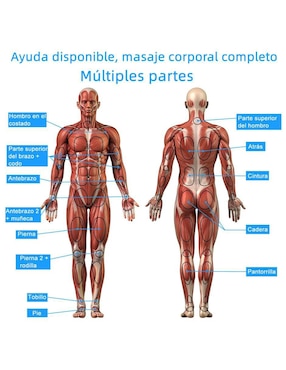 Electroestimulador muscular Lab.G