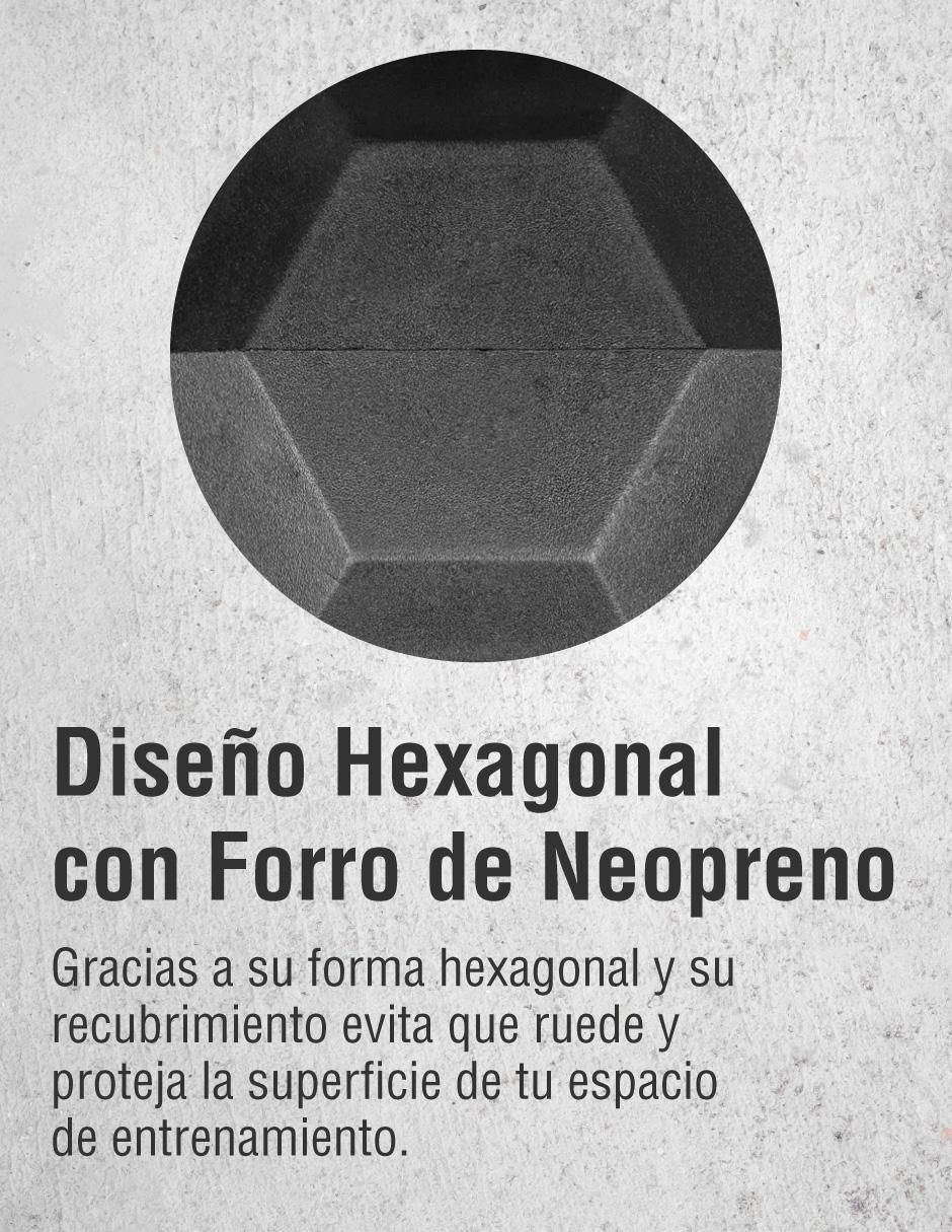 Mancuerna de peso fijo 4.5 kg 4