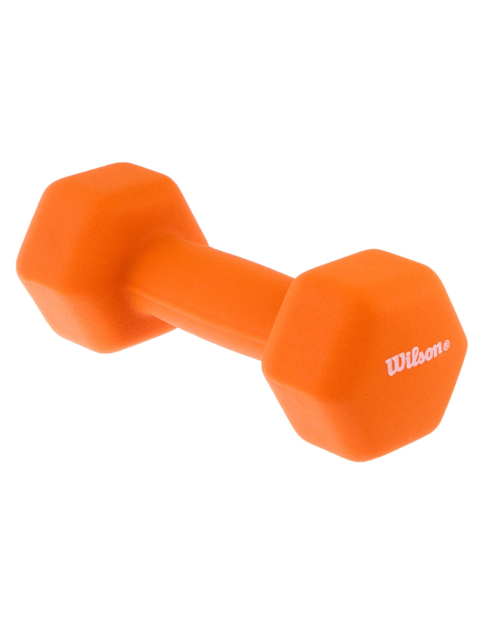 Mancuerna de peso fijo 2.7 kg 4