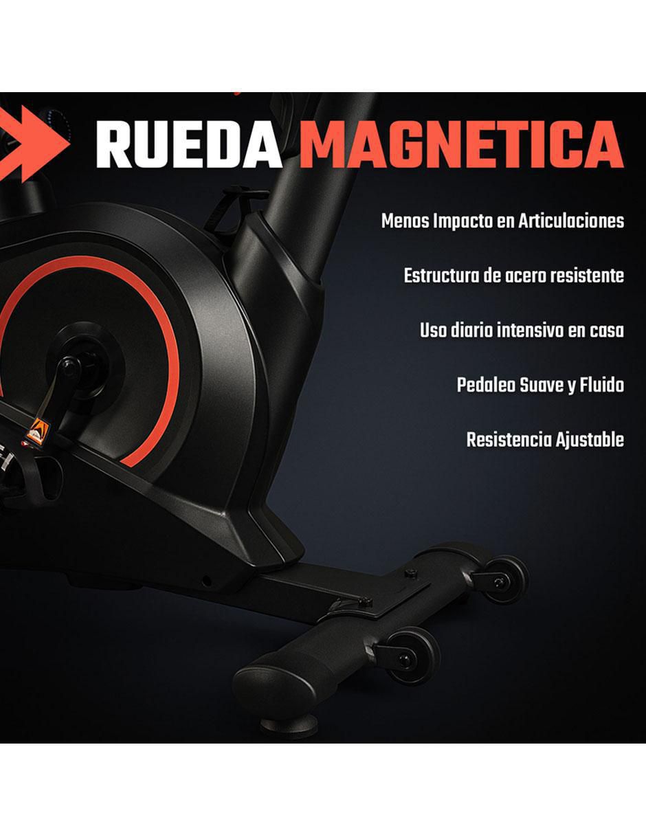 Bicicleta fija modelo mkz-bispinpromag de acero 6
